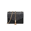 Fashionable universal chain, starry sky, small bag, shoulder bag, phone bag, 2023, new collection, western style