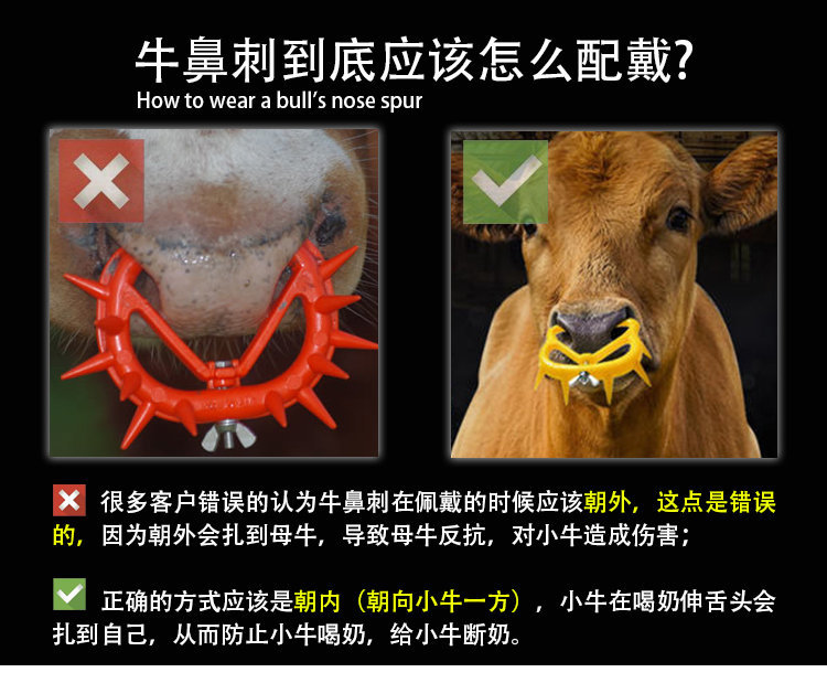 牛鼻刺BA详情页 (1).jpg