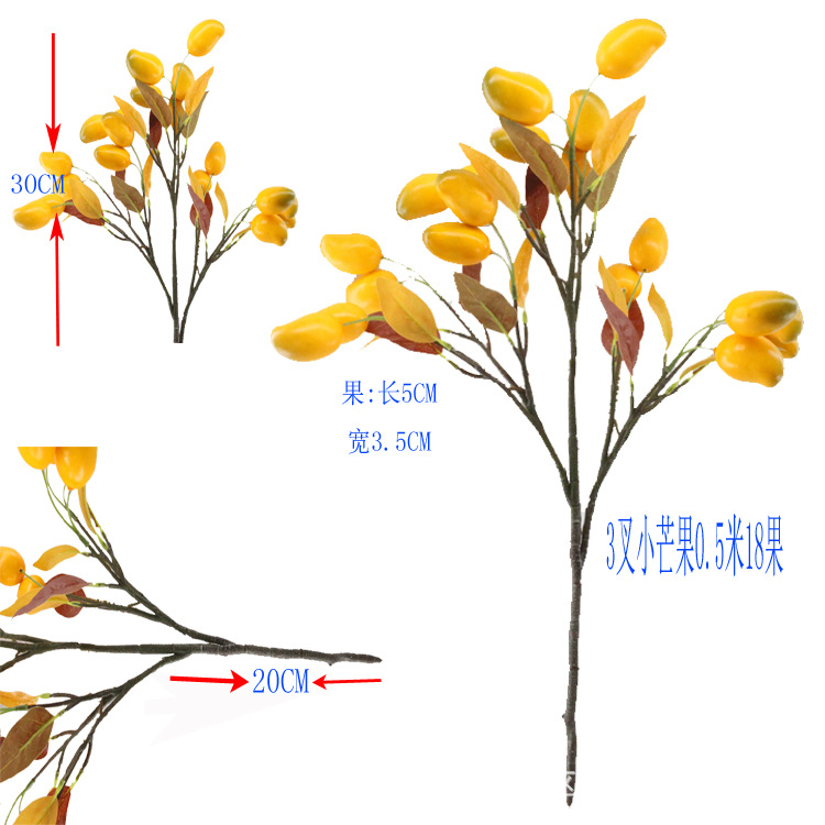 3叉小芒果0.5米（1.jpg