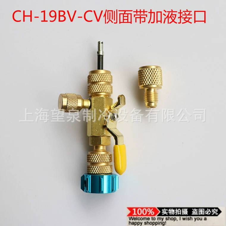 Клапан-ремонт автоклапана CH-19BV-CV от Taiwanese Xuanyi для снятия
