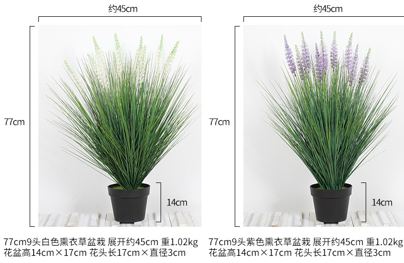 11834014555_194888644