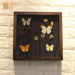 Флисовый образец с бабочкой из натурального дерева, трехмерная фоторамка, значок, ювелирное украшение, брошь, оптовые продажи, увеличенная толщина