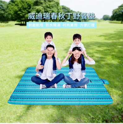 户外野餐垫防潮垫加厚沙滩野炊地垫防水野营垫子帐篷野餐布|ms