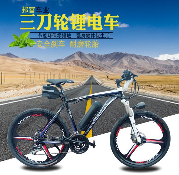 俄罗斯出口定制26寸LCD大屏控制器锂电助力电动山地车来图加工|ms