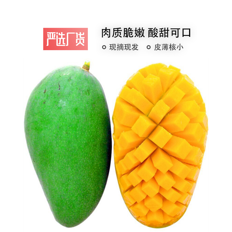 一手货源  热带水果大青芒8斤 非海南贵妃芒 芒果农产品网店代理|ru