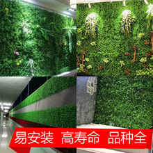 ����ֲ���ƺ�Gֲ�������ƺ���m��ƺ�������ϲ�ƺ40*60�ȼ���