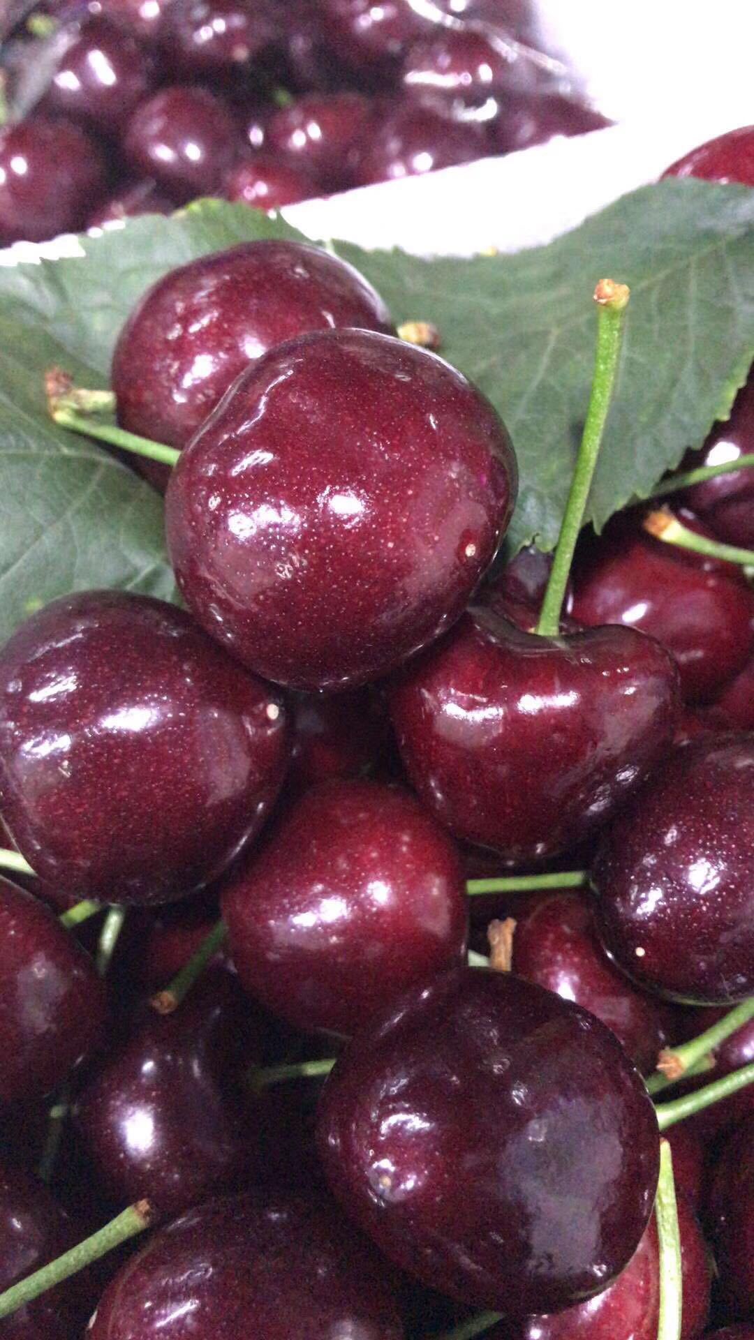 微信图片_2019032111155610