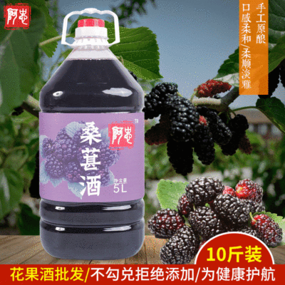 桑葚酒阿忠女士低度水果酒12度自酿果酒桶装花果酒批发厂家直销