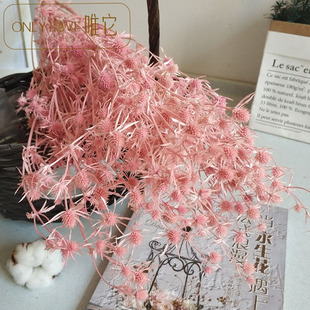 �������˹��ɻ�����ins�[���̎����˹�����Y�� ���˹�����������