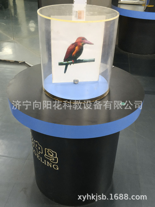 Professional Customizable Provinces, County, Technology Pavilion, Community Science Activity Exhibition Cage, Bird and Bird into Cage