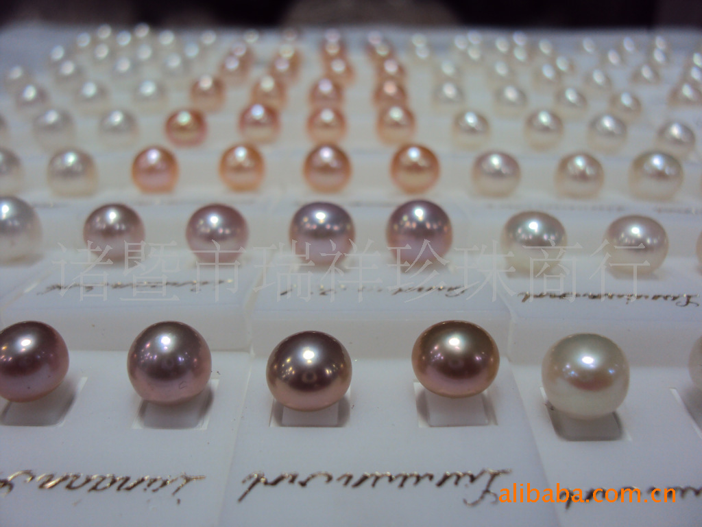 316525761_1716628578