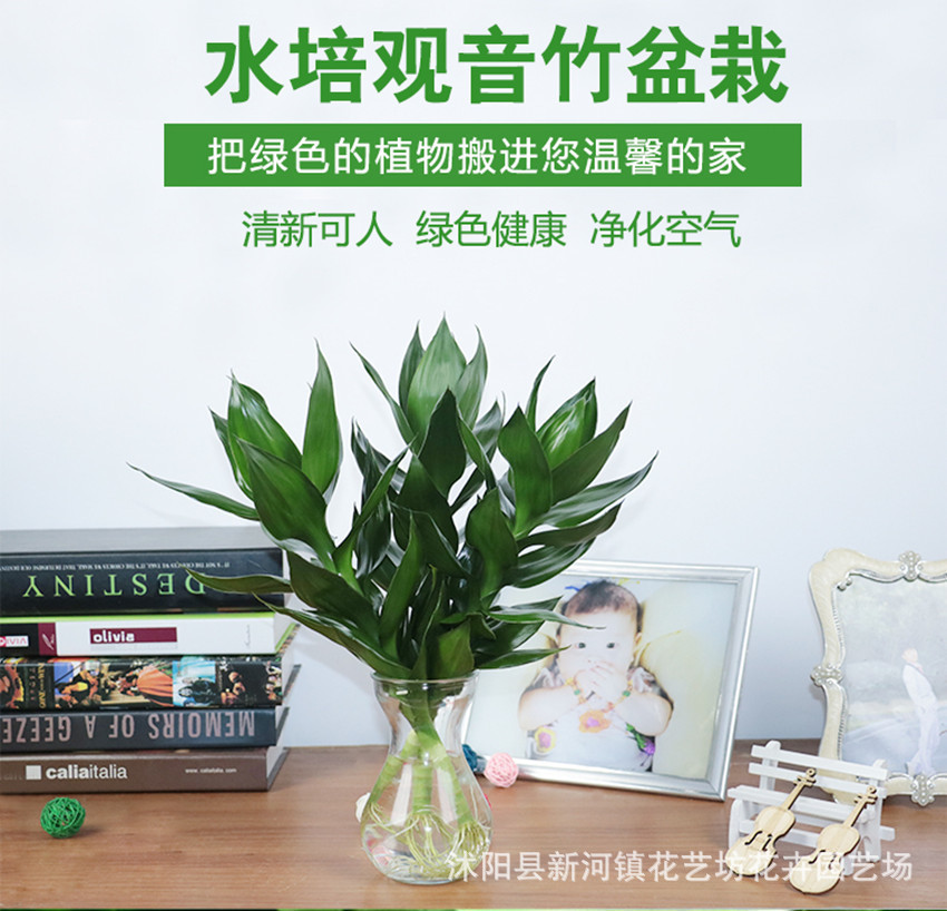 TB2t0_Qs.hnpuFjSZFEXXX0PFXa_!!