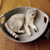 Detachable house four seasons, new collection, pet, cat