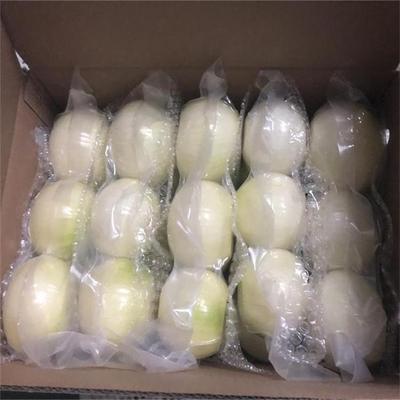 供應黃皮洋蔥新鮮蔬菜農産品洋蔥頭出口級扒皮圓蔥真空包裝代加工