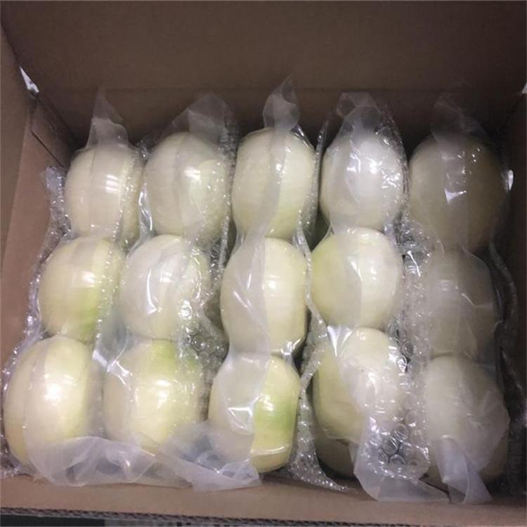 供應黃皮洋蔥新鮮蔬菜農産品洋蔥頭出口級扒皮圓蔥真空包裝代加工