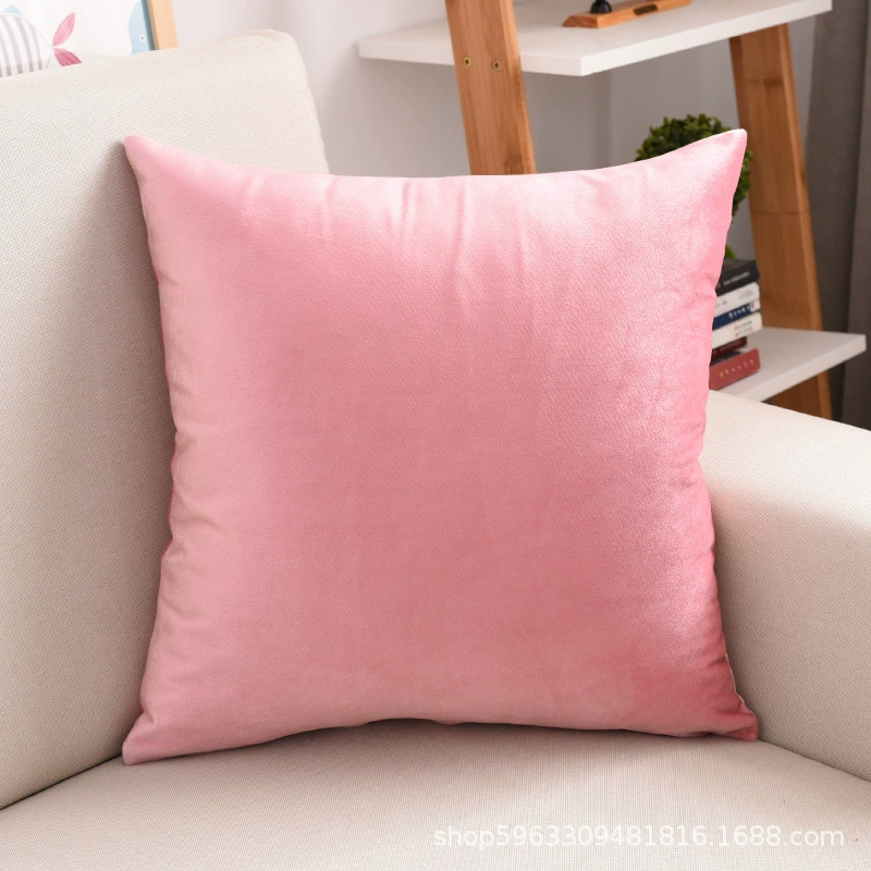 Swan for bedroom, sofa, soft pillow, Amazon, tatami
