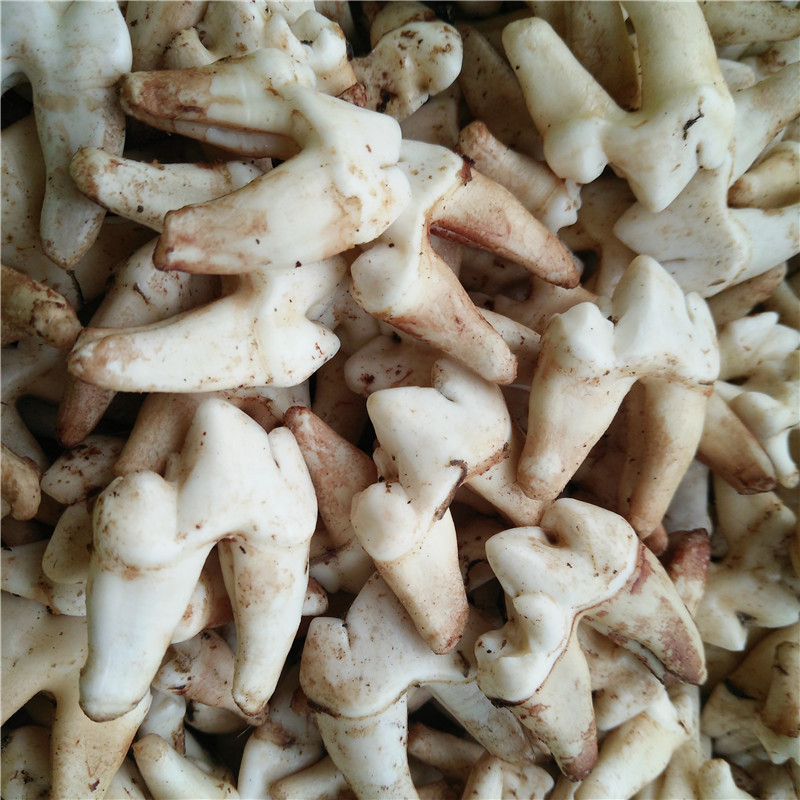 IMG20181124171212_副本