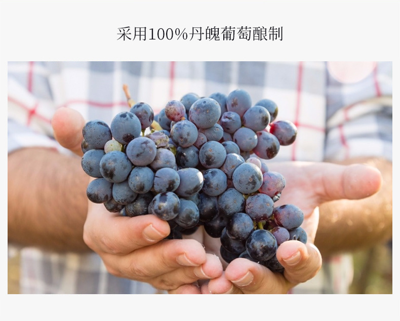 西拉干红葡萄酒报价