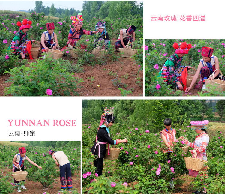 Mo Hong Rose Bud Tea Dried Yunnan Rosa Rugosa Flower Crowns Freeze Dried Edible Herbal Floral Tea 30g Jar quality and texture