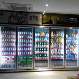 江苏大型KTV酒吧定制饮料啤酒冷藏展示冷柜厂常州超市冷冻保鲜柜