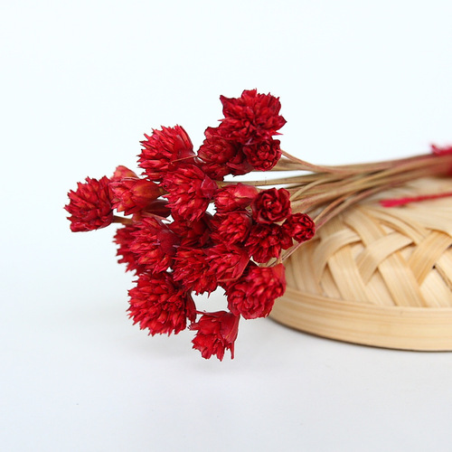 Preserved flower material color gift box with dried flowers small bouquet home flower arrangement diy preserved flower gift box material