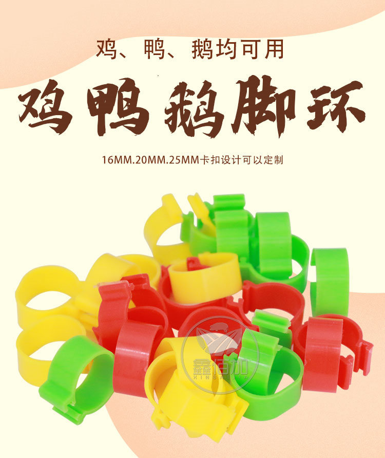 鸡脚环BB详情页 (1).jpg