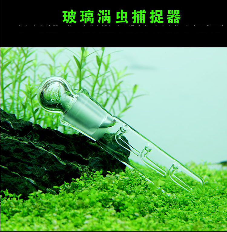 11277881732_1870052274