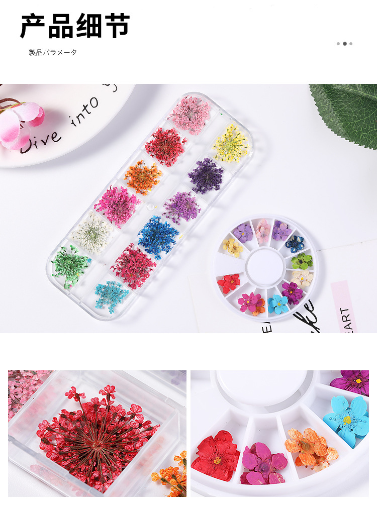 美甲干花 蕾丝干花 水仙花