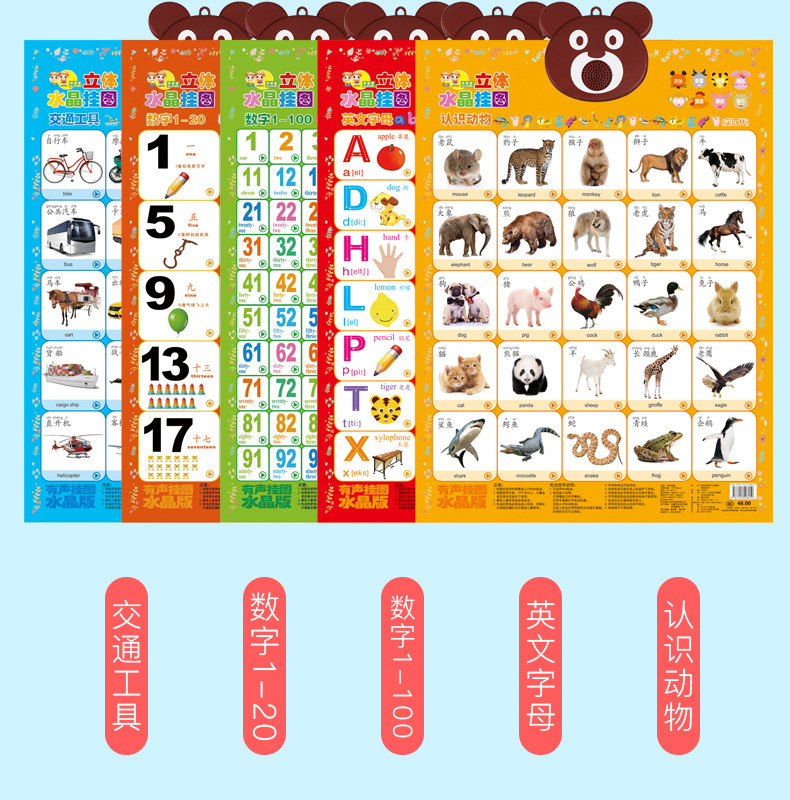 第四代挂图详情_11