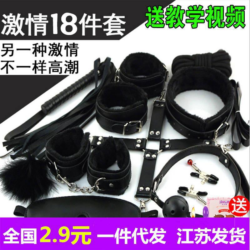 成人用品情趣十件套 鞭子手铐脚铐脖套捆绑绳子眼罩口球乳夹批发