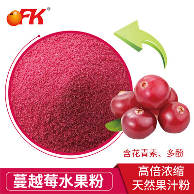 水果粉OFK牌台湾进口配方固体饮料原料蔓越莓水果粉浓缩花青素