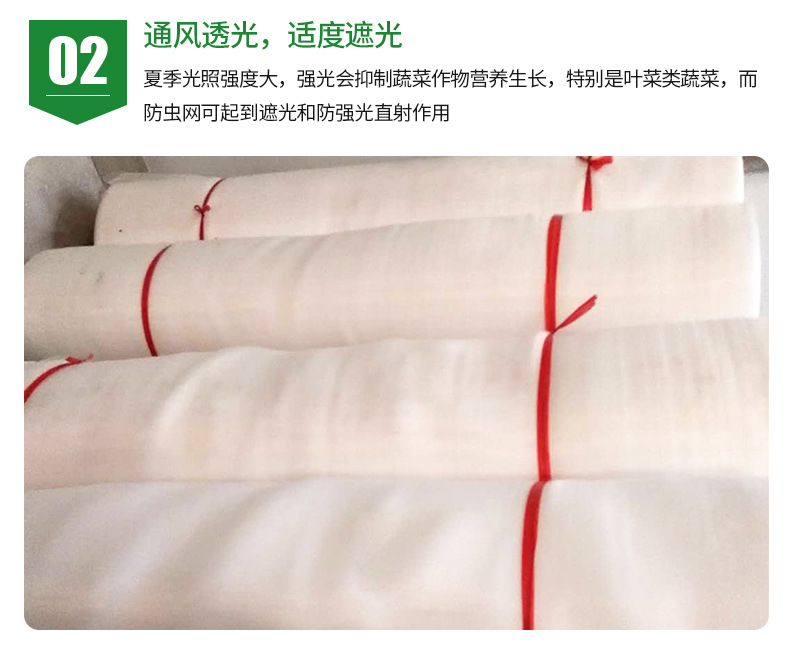 防虫网_05