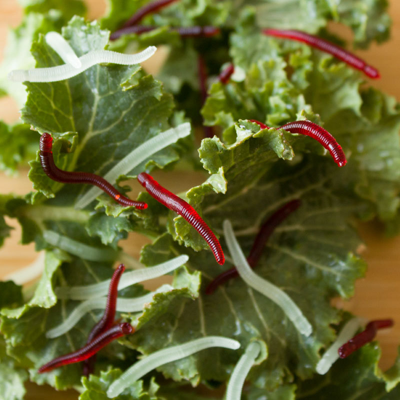 Fábrica al por mayor de pescado gusano rojo gusano cebo falso 50/100 piezas simulación Luya cebo suave cebo luminoso pequeña lombriz de tierra
