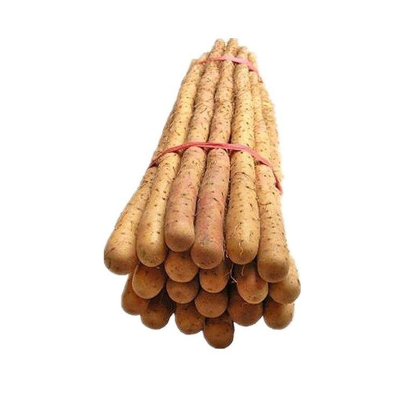 鐵棍山藥小白嘴麻山藥加工定制聯系客服