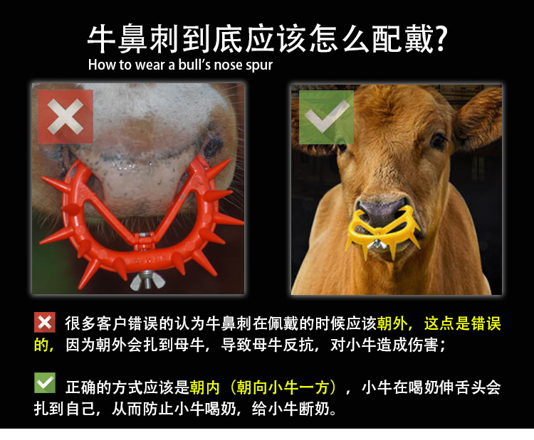 牛鼻刺AA详情页 (1).jpg