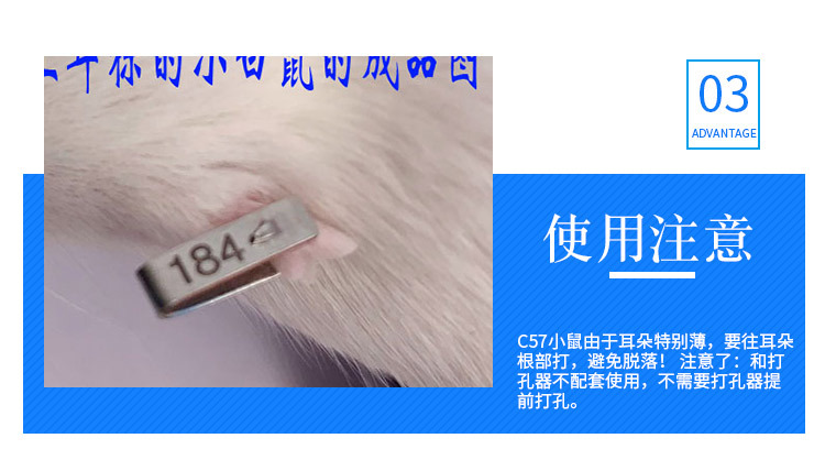 不锈钢耳标号成品图_07