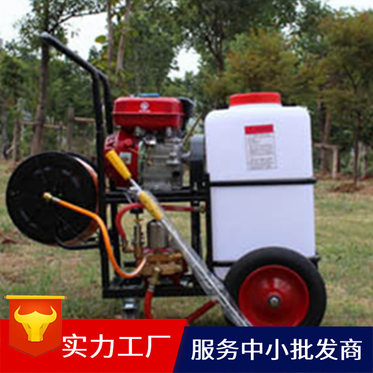 四轮打药机 汽油喷雾机 手推式汽油喷雾打药机