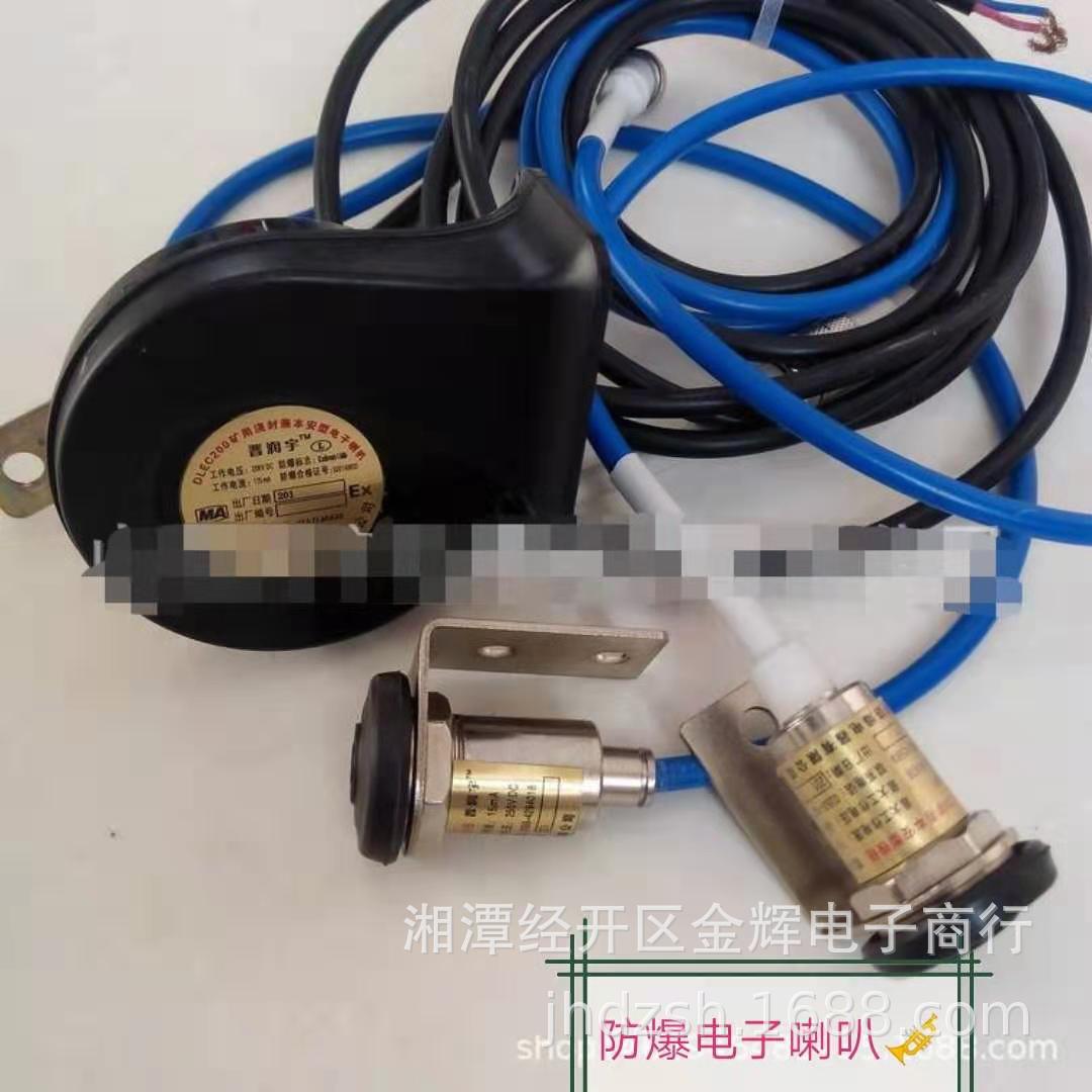 厂家直供矿用电机车配件DLEC24-250 电子防爆喇叭 防爆灯 控制器