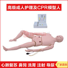 高级成人护理及心肺复苏模型人CPR3000鼻饲洗胃注射康复训练假人