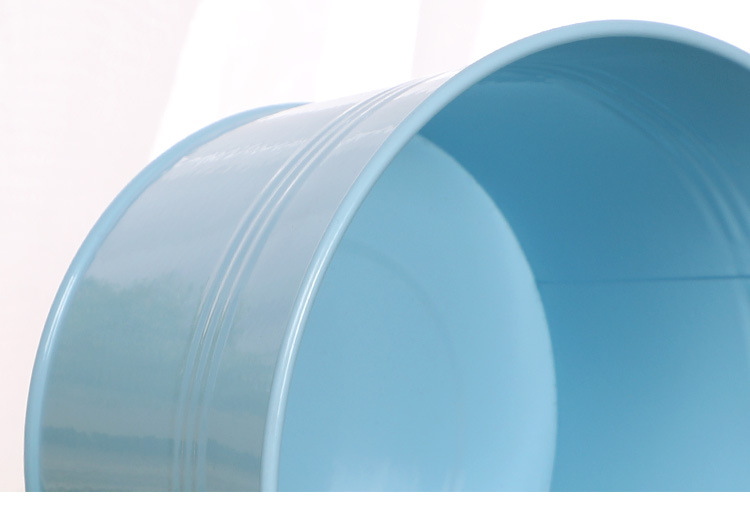 厂家直供小铁桶糖果色迷你小铁桶铁皮小桶马口铁多肉植物花盆批发详情图8