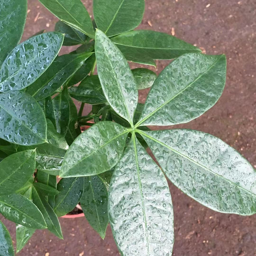 微信图片_20190312234254