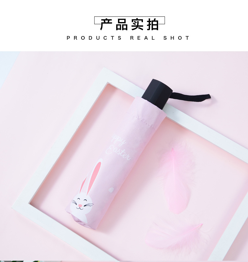 胖胖熊常规 (4).jpg