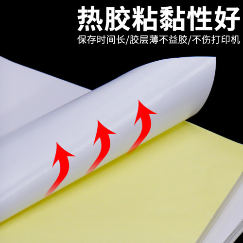 Printable A4 Self-Adhesive Label Paper, Matt/Glossy Label Paper, Blank Backing, Laser/Jet Ink Copy Label