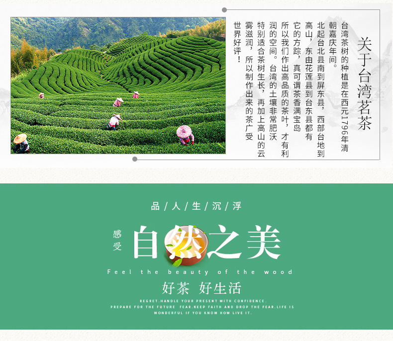 源生鲜茶叶批发台湾杉林溪月夜花朝装厂家直销醇厚甘爽发货迅速 阿里巴巴