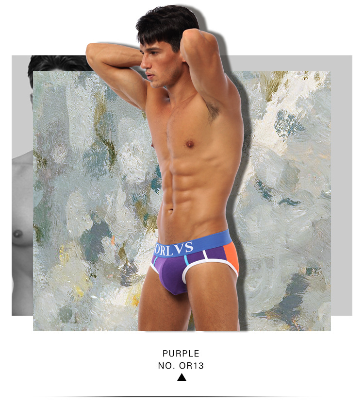 Quick-selling fashion triangle pants U-shaped bag orlvs cotton men's low-waisted underwear tide OR13 9 undefined