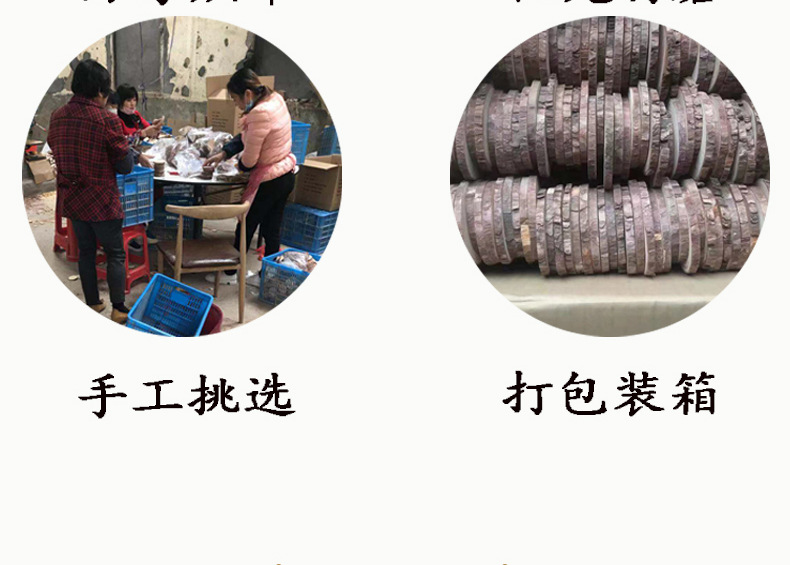 页头_06.jpg