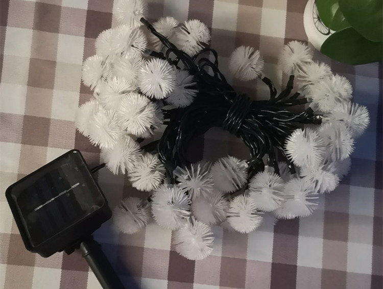 IMG_20190602_190857_副本_副本