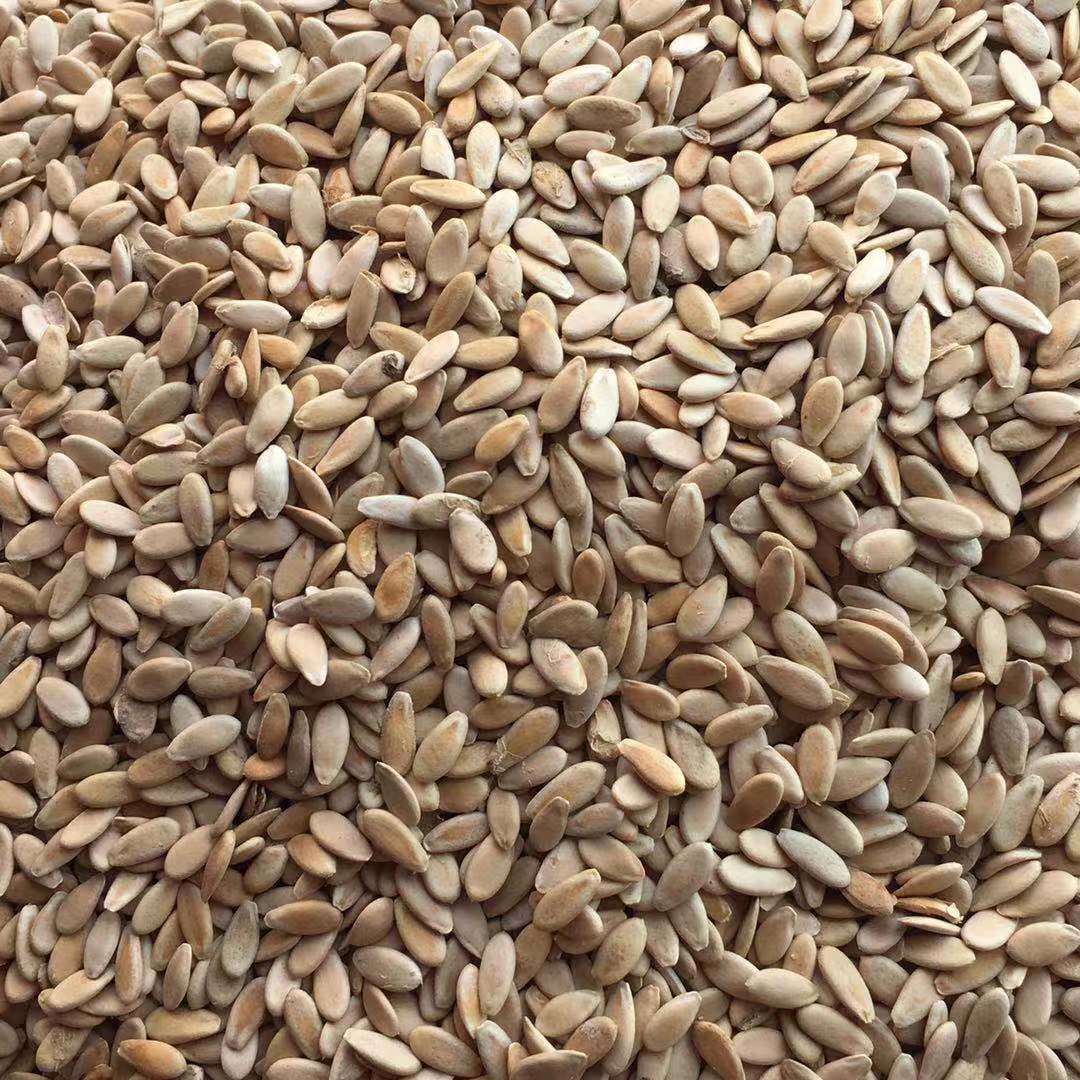 Low Temperature Roasted Muskmelon Seeds Xiang Gua Zi 500g Edible Seed Snack and Grinding Ingredient key features