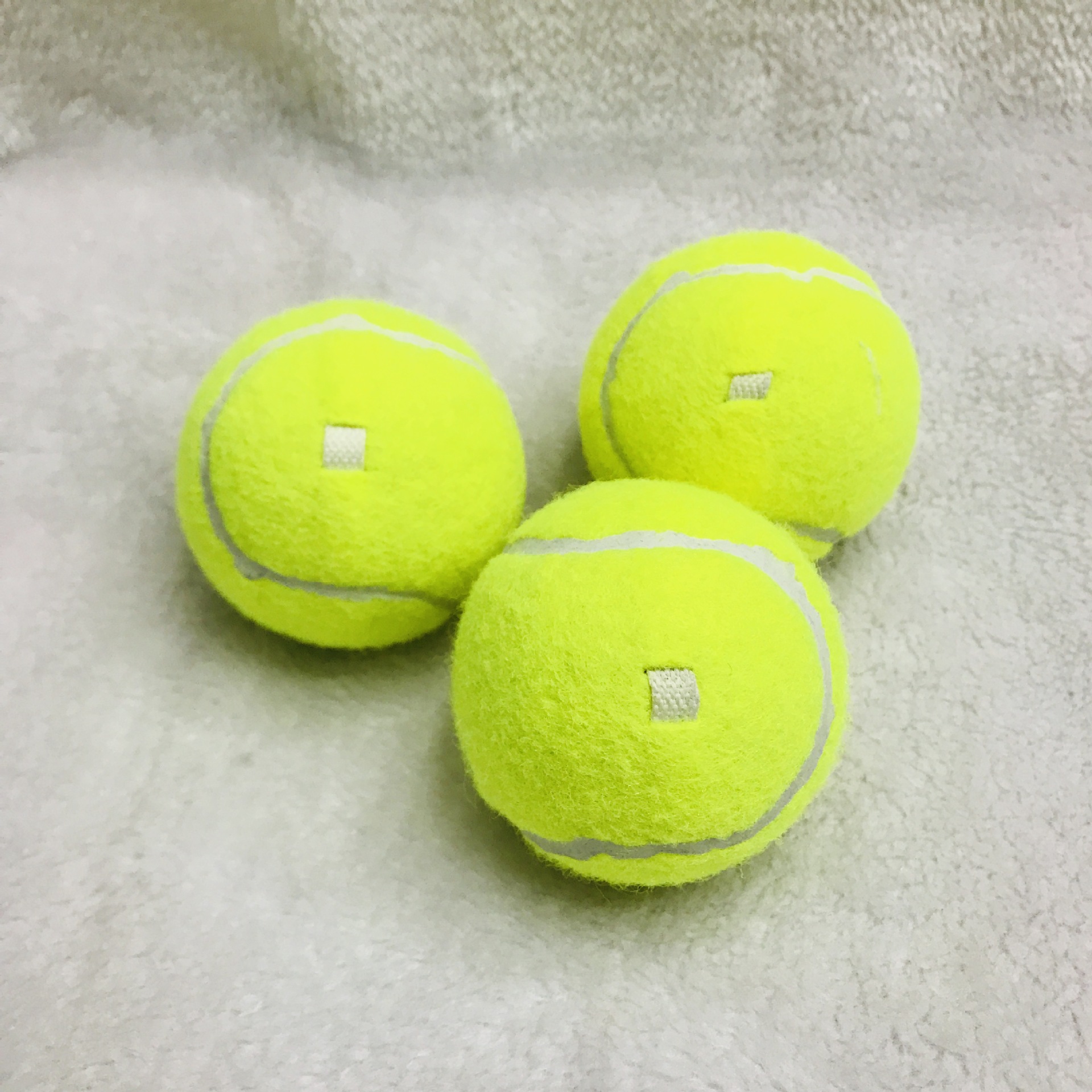 IMG_7621(20190516-145309)