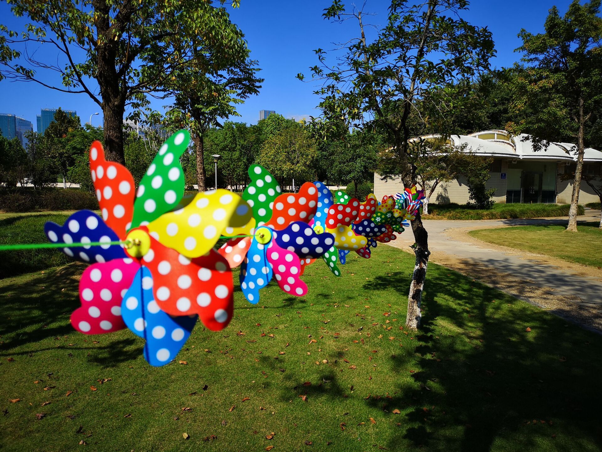 QQ图片20190923162946